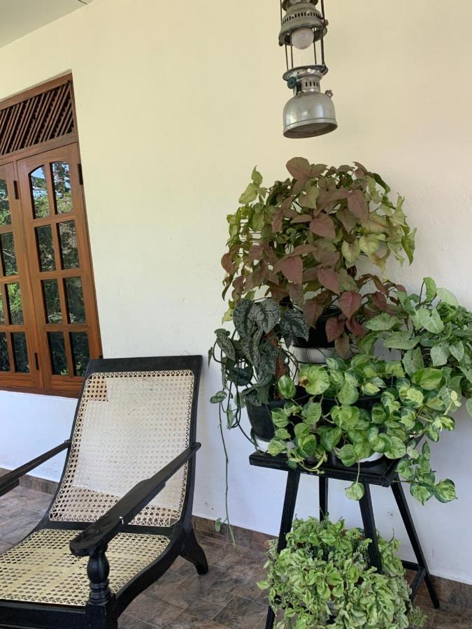 Tranquil Private Villa Near Bentota Beach Buitenkant foto
